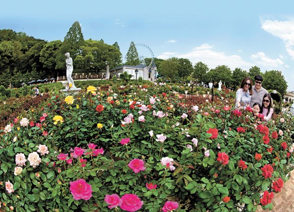 Spend springtime hours in fields of flowers